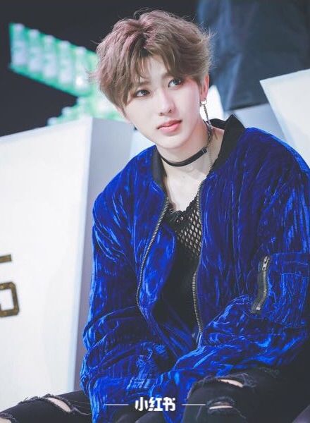 Cai Xukun (蔡徐坤) | Individual Trainee | Wiki | Nine Percent Amino Amino