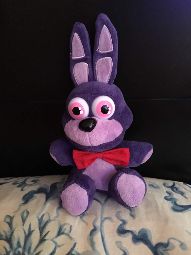 My FNAF Plushies | Five Nights At Freddy's Amino