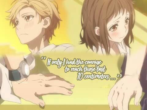 Our Love Has Always Been 10 Centimeters Apart | Wiki | Anime Amino