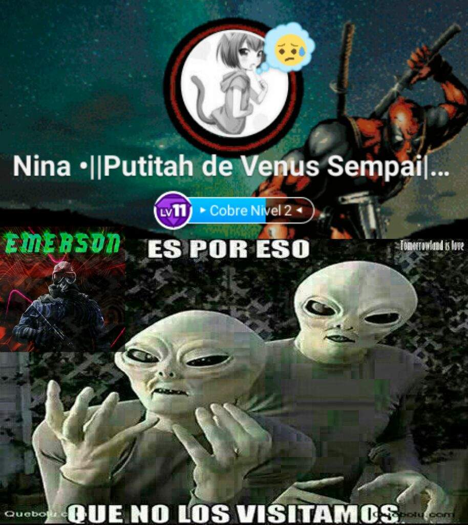 Memes Piloto Guerra De Memes Amino Amino