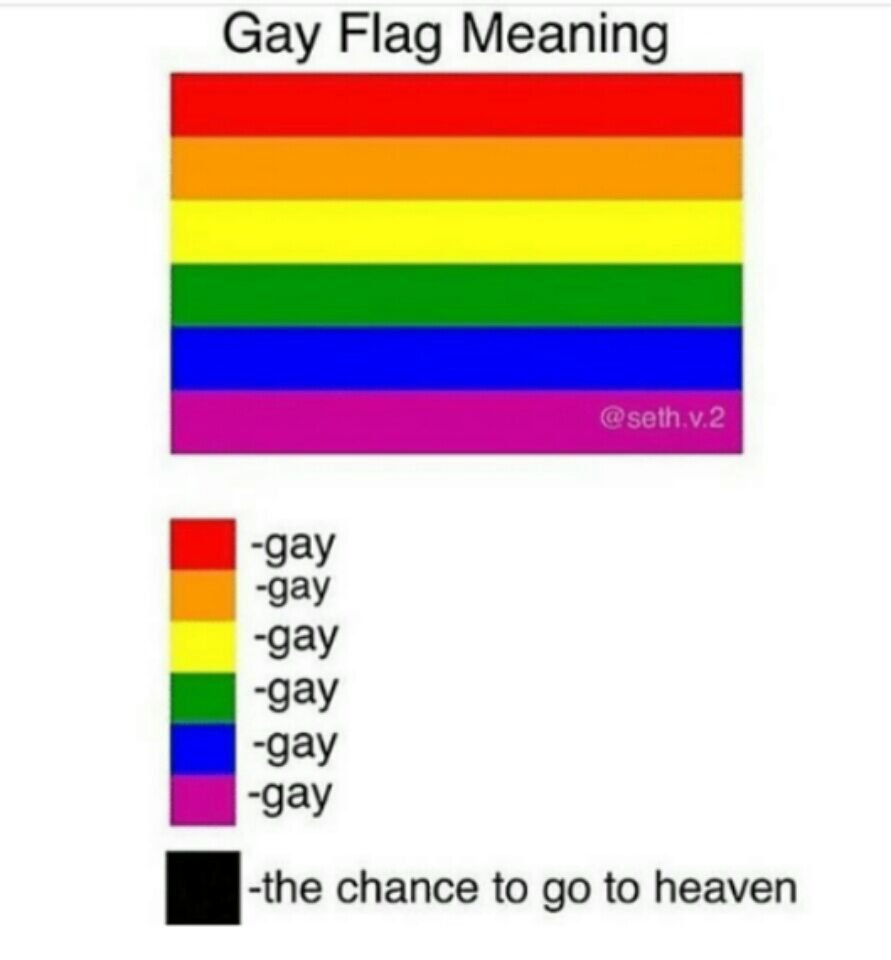 gay flag meme dank