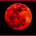 Resultado de imagem para red moon