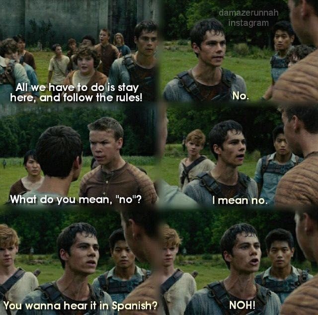 My Favourite Maze Runner Memes 😂 | The Glade Amino