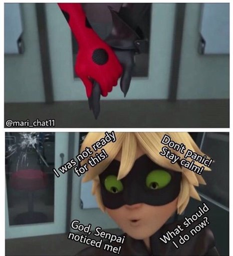 The surprised look on his face though | Miraculous Amino