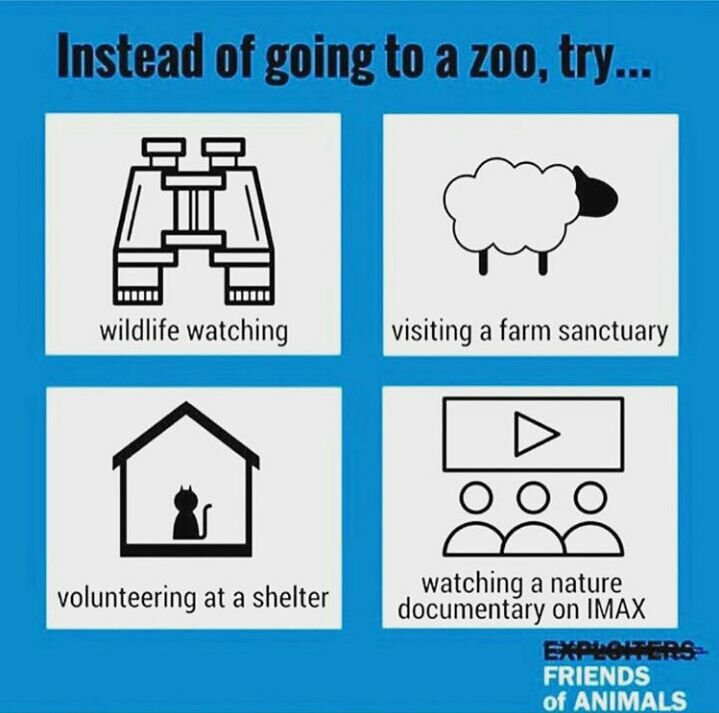 Zoos for Conservation? Vegan Amino