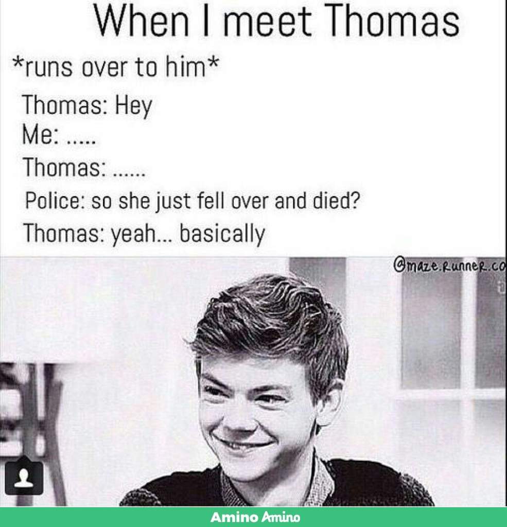 TBS and TMR memes ( funny ones ) | Thomas Brodie Sangster Amino