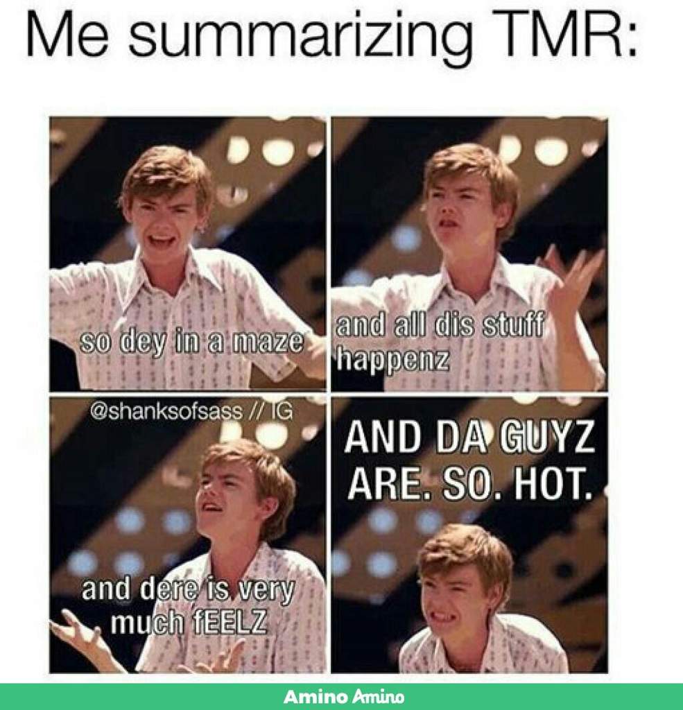 TBS and TMR memes ( funny ones ) | Thomas Brodie Sangster Amino