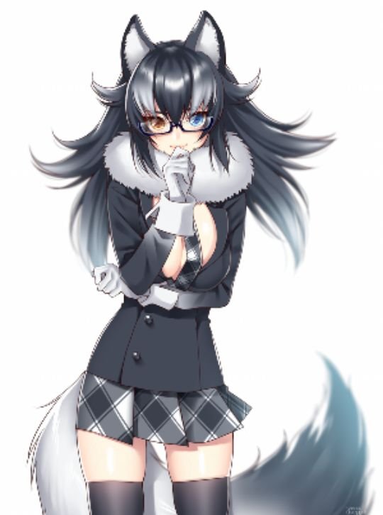 Grey Wolf | Wiki | •Neko Anime Amino• Amino