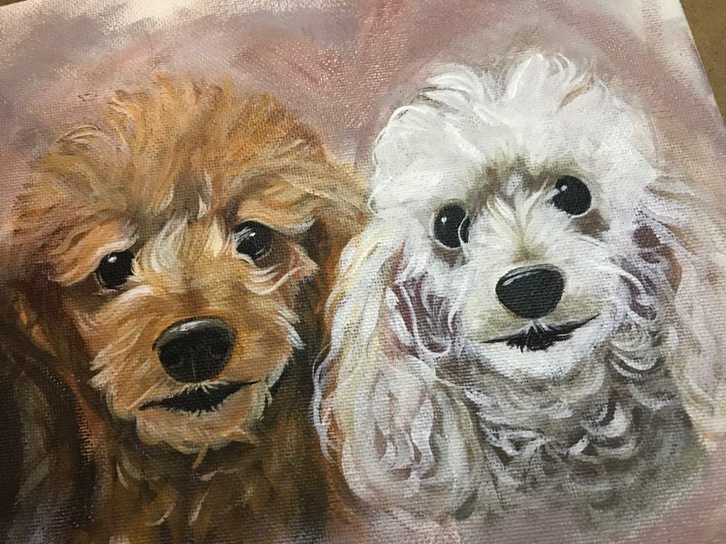 Its hard painting curly hair 😊 Dog portraits im working on for a ...