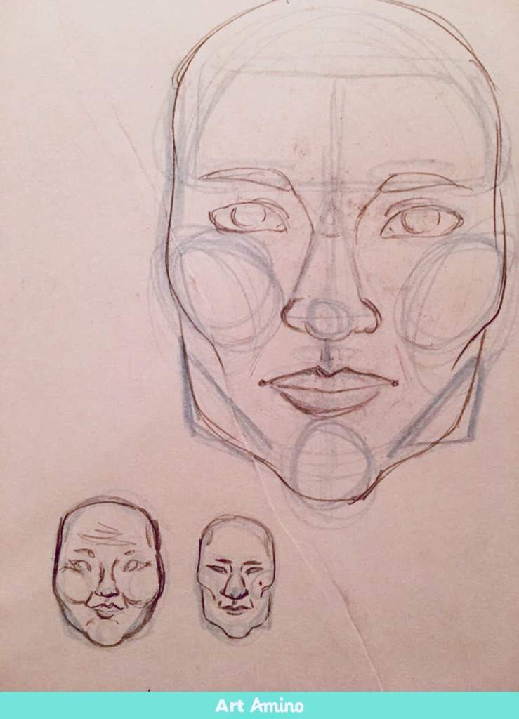 facial-structure-art-amino