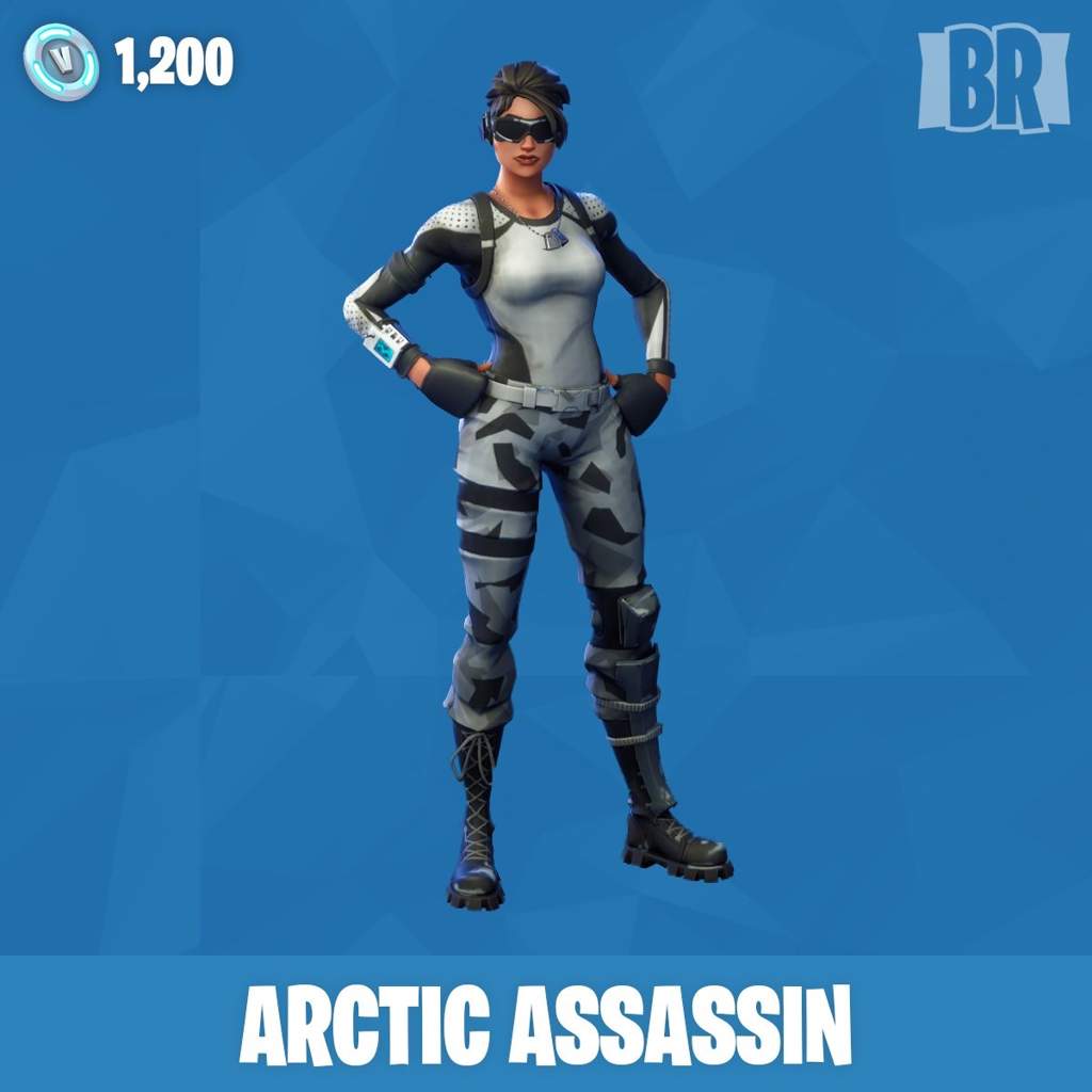 ARCTIC ASSASSIN | Wiki | Fortnite: Battle Royale Armory Amino