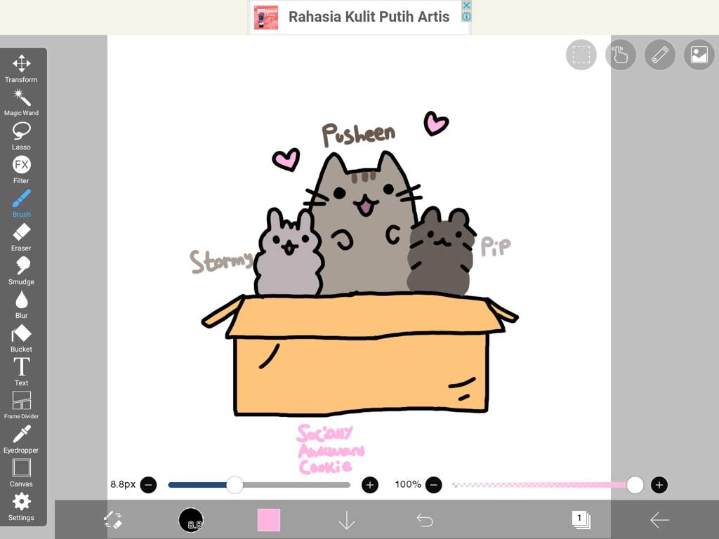stormy pusheen and pip