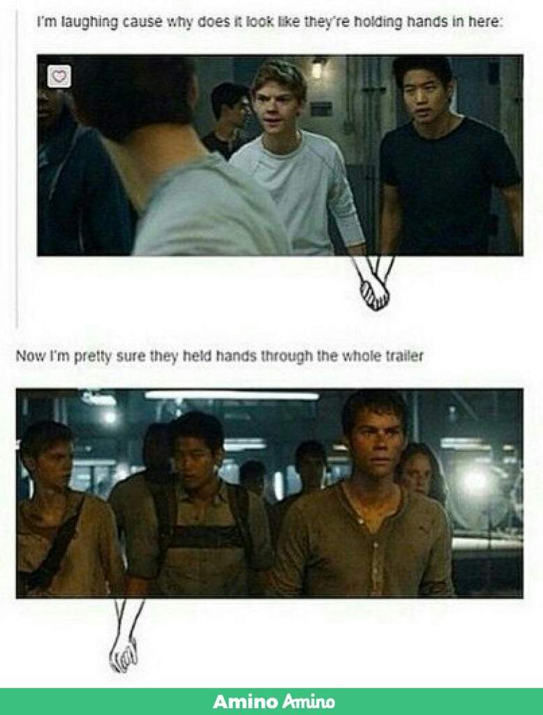 TBS and TMR memes ( funny ones ) | Thomas Brodie Sangster Amino