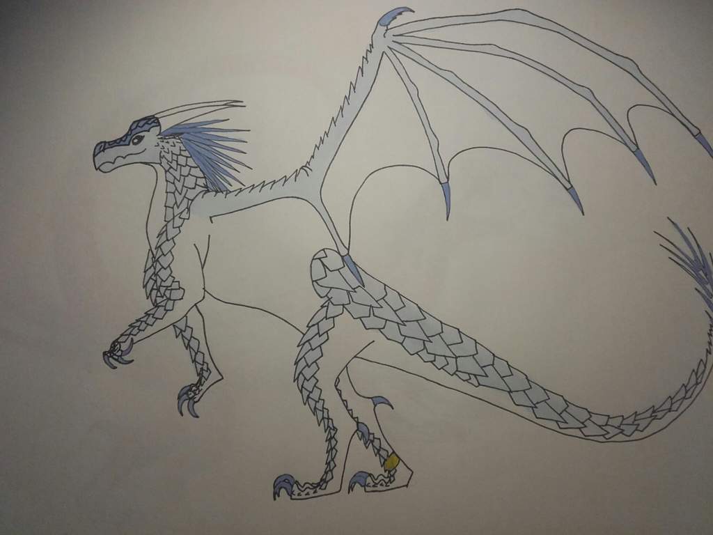 My Icewing Steamfog Wings Of Fire Amino