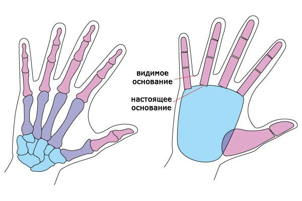 Буквы из пальцев рук картинки