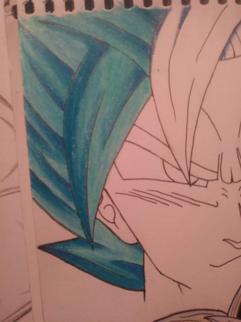 Drawing Goku And Vegeta No Reference Colored Pencils Dragonballz Amino