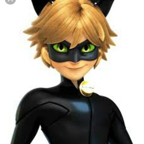 Look at cat noir transform | Miraculous Amino