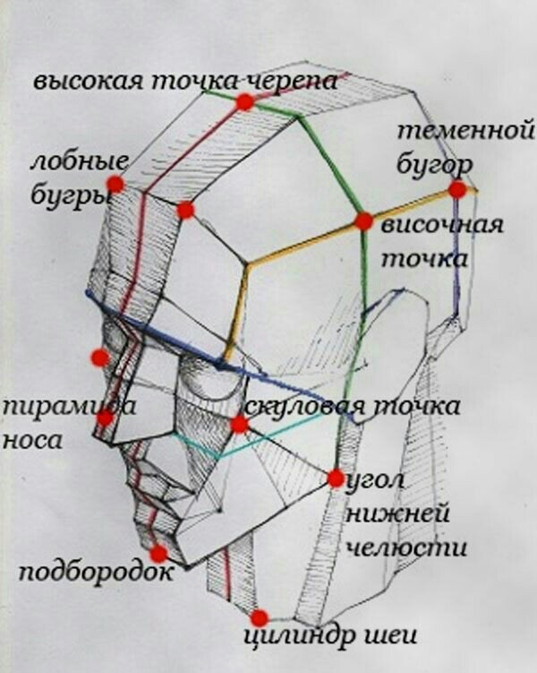 Туториал как рисовать голову