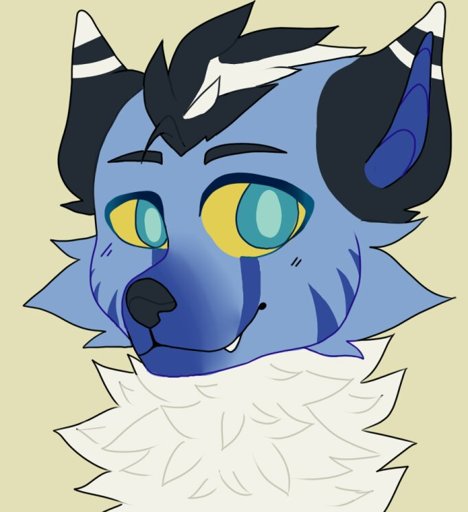 Codae the shakrine | Wiki | Furry Amino