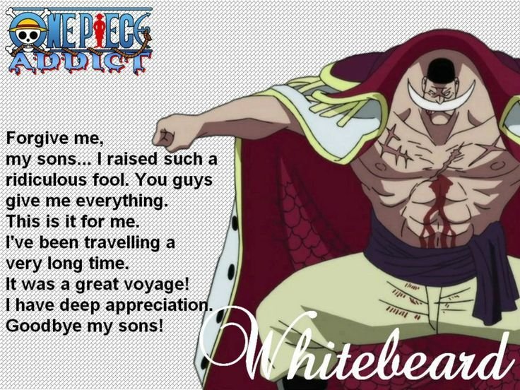 One piece quote 46 | Anime Amino