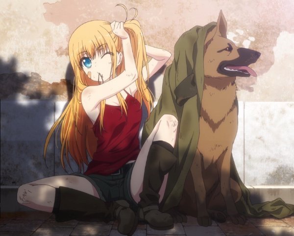 Dogs And Anime: Which Anime Dog Would You Adopt? | Anime Amino