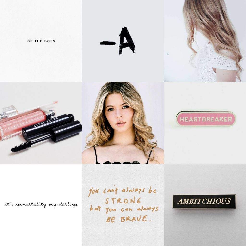 Pretty Babe Moodboards PLL Amino