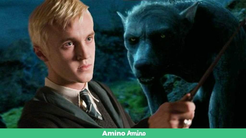 Drago Malfoy Un Loup Garou Harry Potter Fr Amino