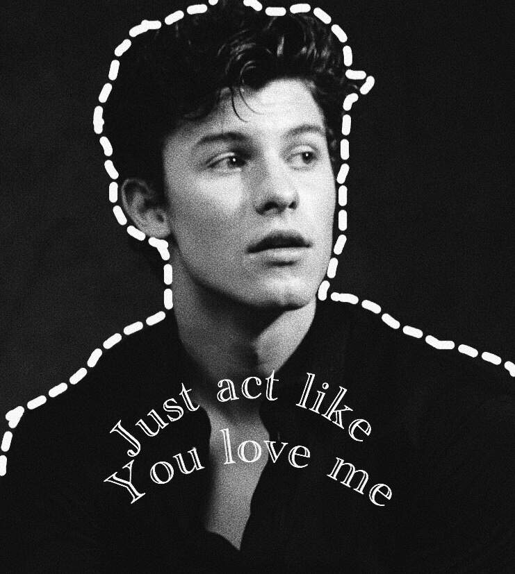 Act Like You Love Me Shawn Mendes Army Amino