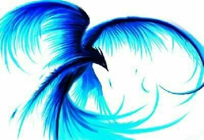 Ice Phoenix | Wiki | Mythology & Cultures Amino