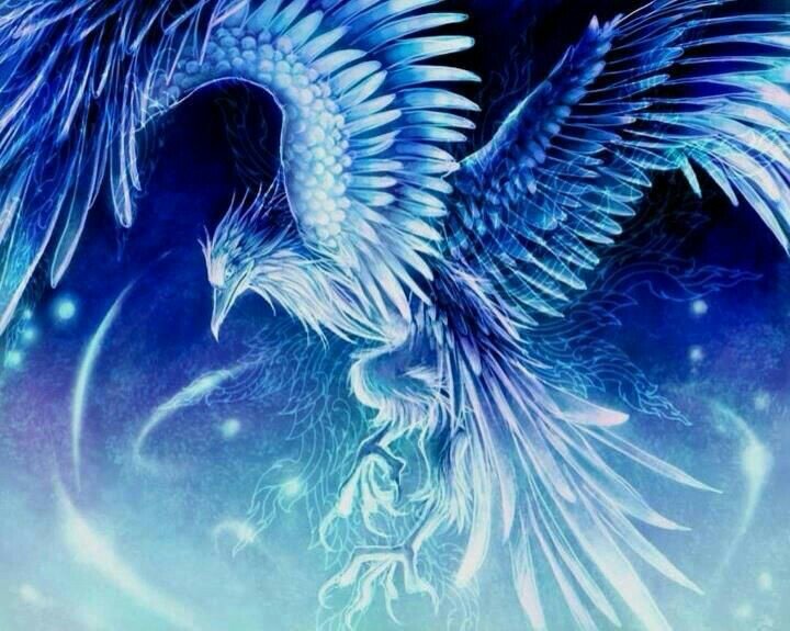 Ice Phoenix | Wiki | Mythology & Cultures Amino