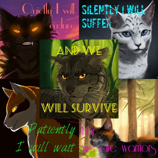 Random Edits | Warrior Cat Fanfictions & Art Amino