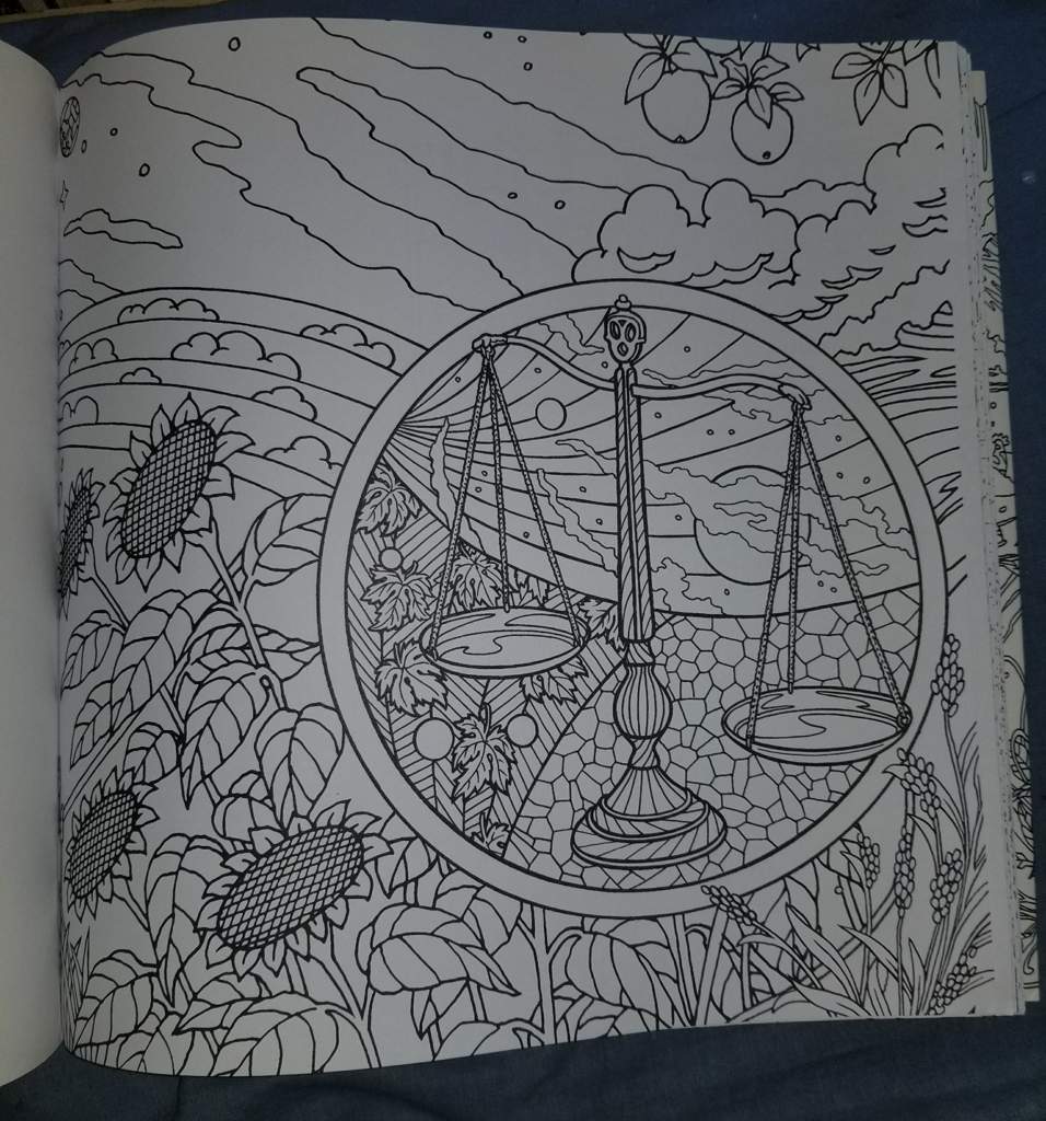 Astrology Coloring Book | Zodiac Amino