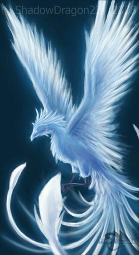 Ice Phoenix | Wiki | Mythology & Cultures Amino