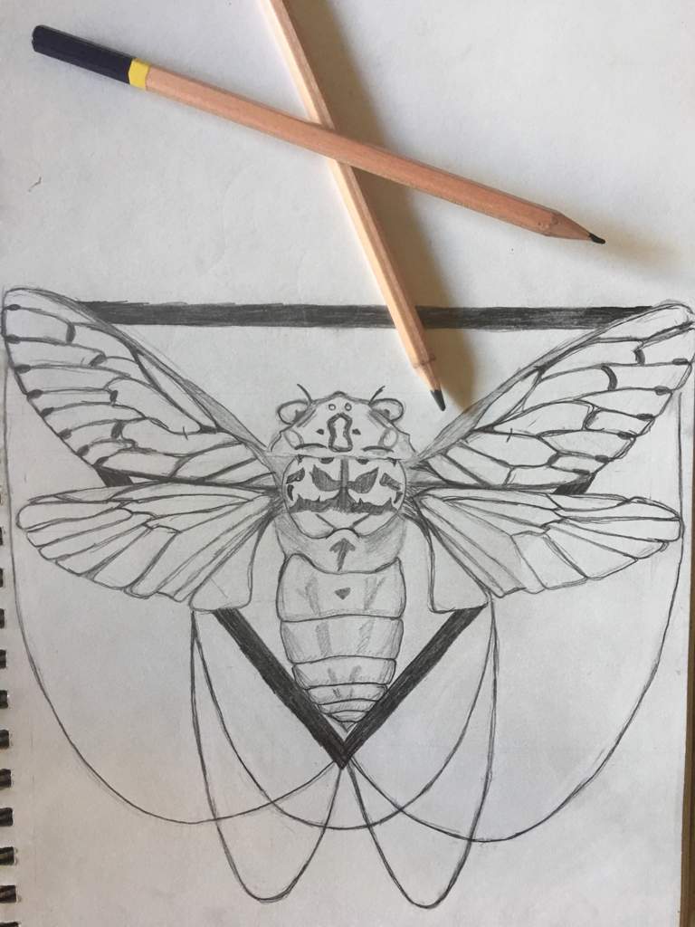 cicada tattoo meaning