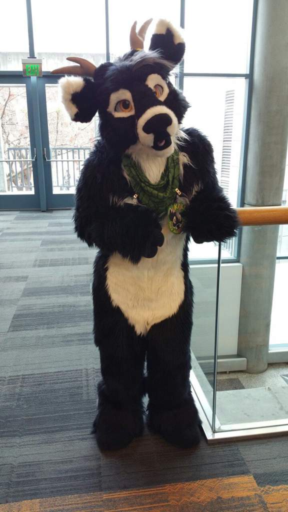 Kale the Deer Wiki Furry Amino