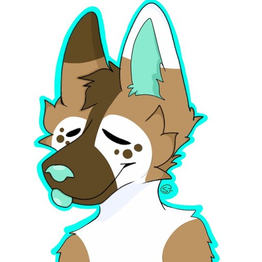 Kyle! | Wiki | Furry Amino