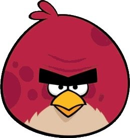 Terrence | Wiki | Angry Birds Fans Amino Amino