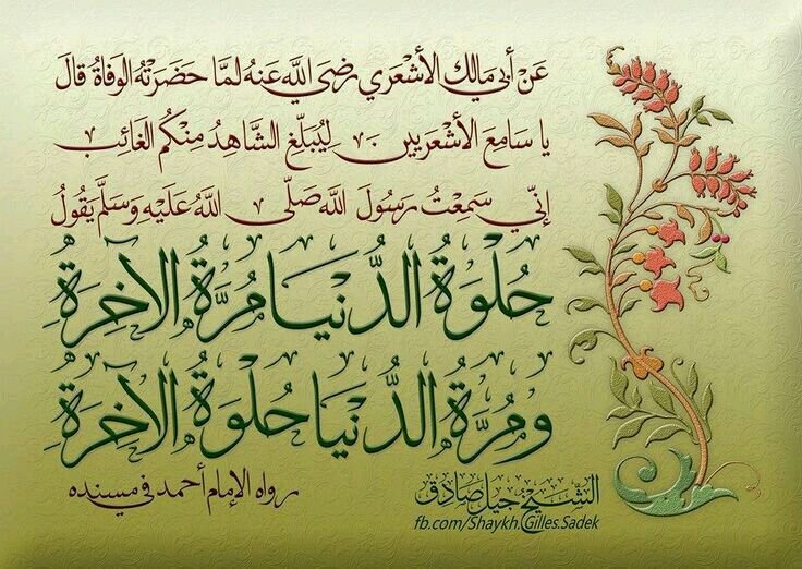  لنكتب حديث عن الرسول الكريم صلى الله عليه وسلم - صفحة 66 65aa5edea04d3ea07393c673298ed42cd22875dav2_hq