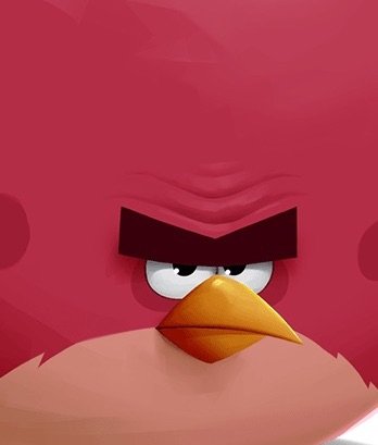 Terrence | Wiki | Angry Birds Fans Amino Amino