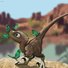 amino-Baby Raptor Kiwi-3ad38654