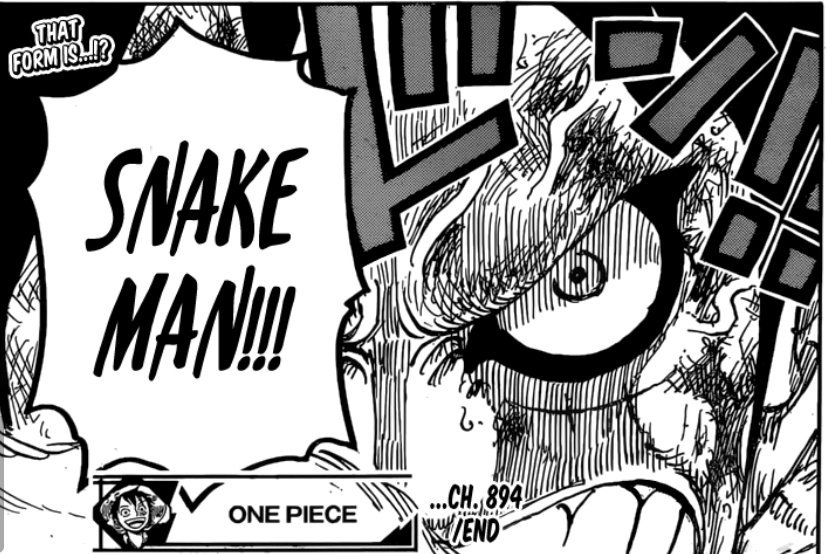 One Piece 895