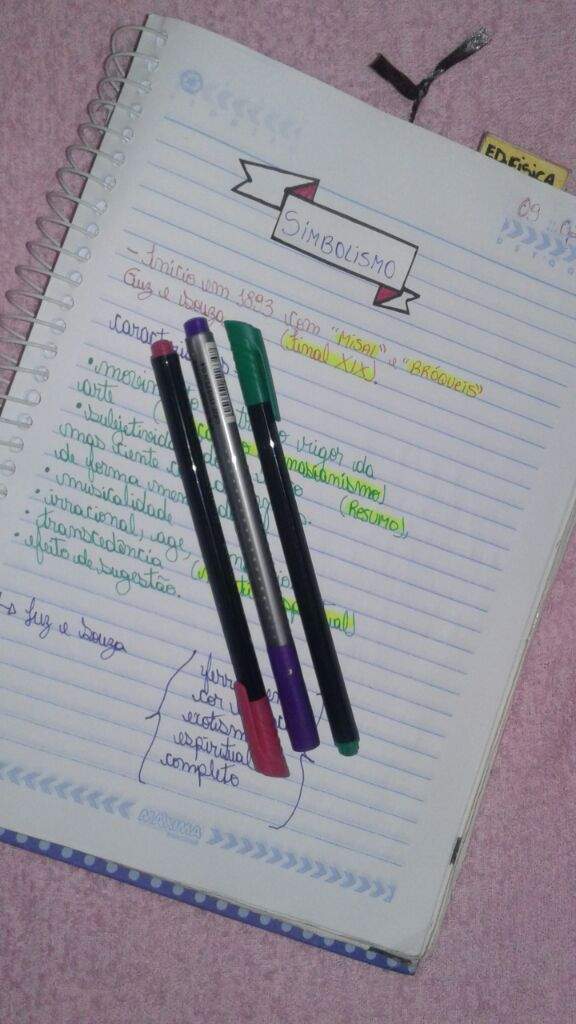 Como Organizar Seu Caderno Fofura Total Kawaii Ptbr A 5275