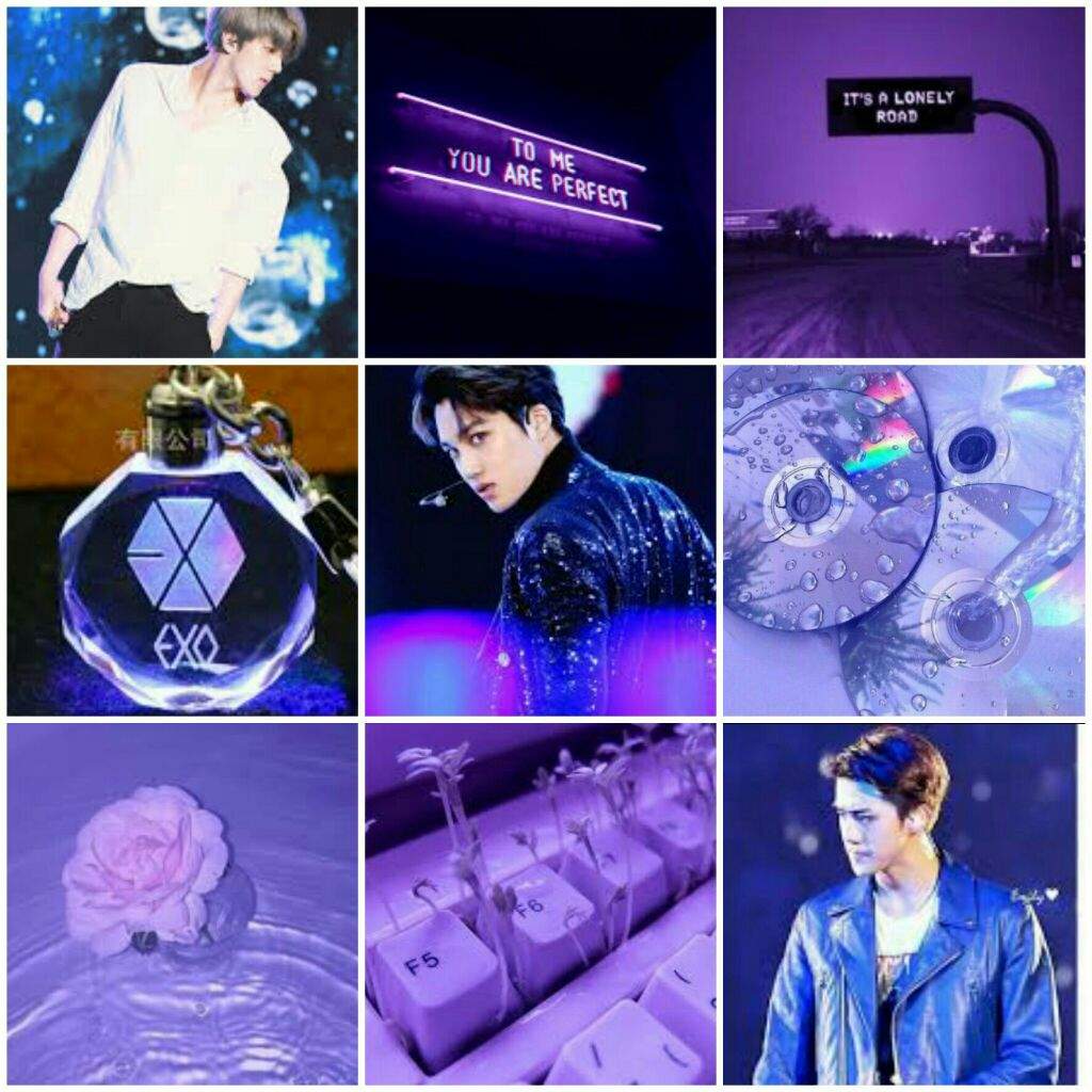 EXO Aesthetics | Exo-L's Amino