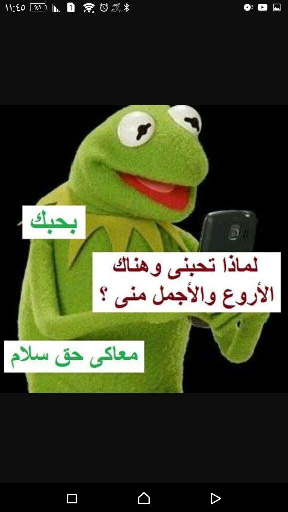 مثال على الرومنسيه بحياتي من كريمت الضفدع نكت تحشيش Amino Amino