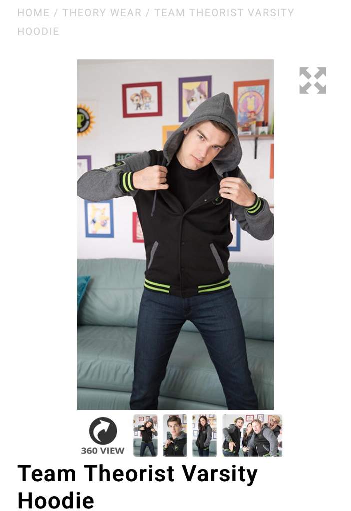 team theorist varsity hoodie