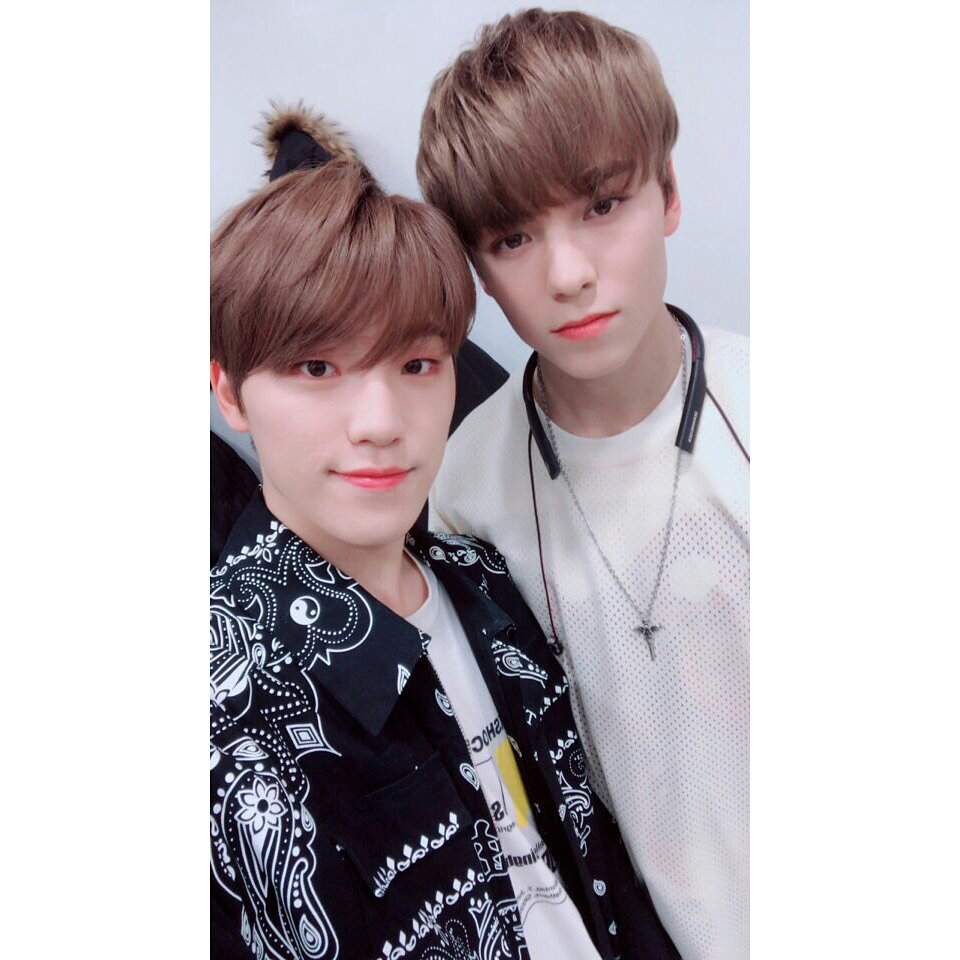 SEVENTEEN INSTAGRAM UPDATE | Carat 캐럿 Amino