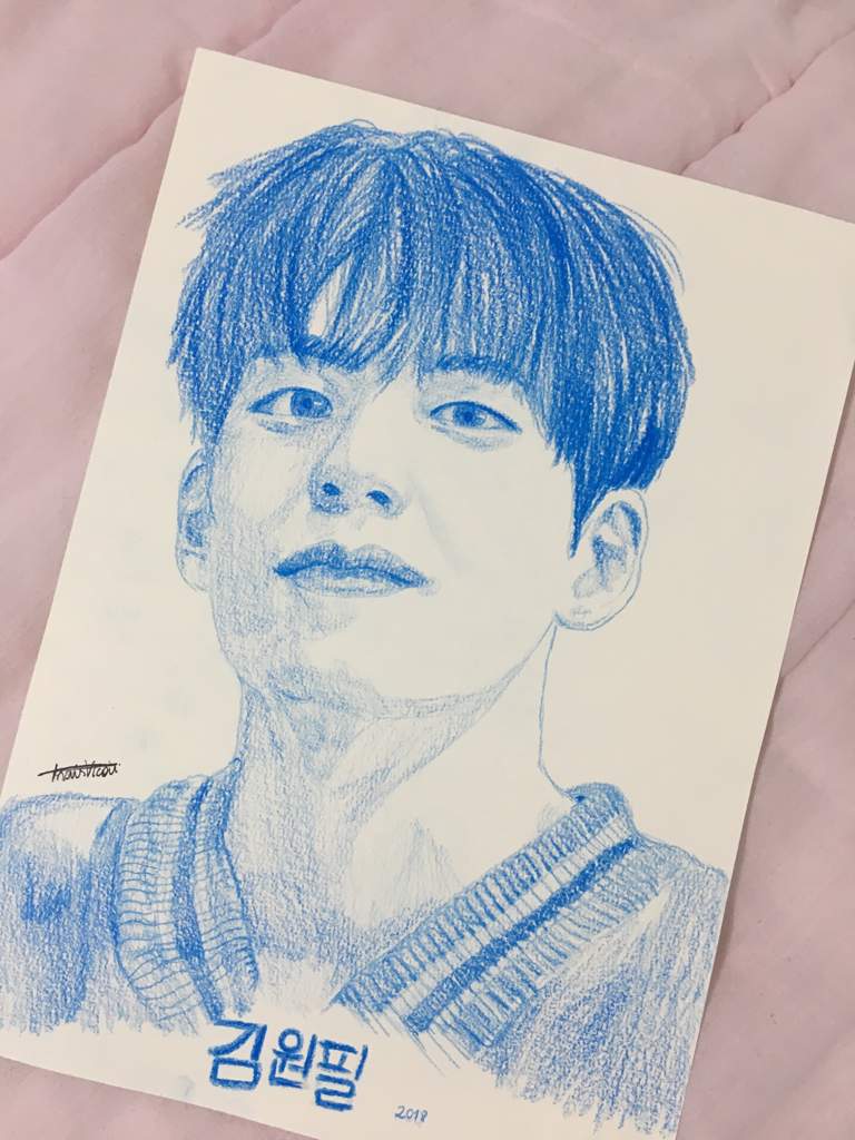 watercolor pencil drawing day6 amino