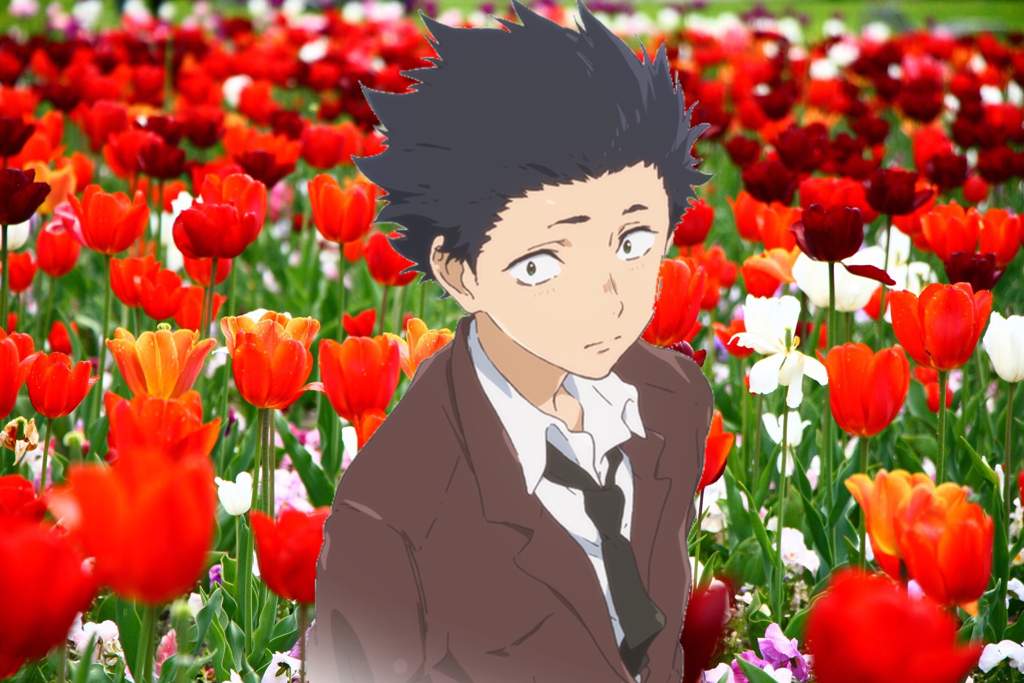 The Cause of a Silent Voice | Anime Amino