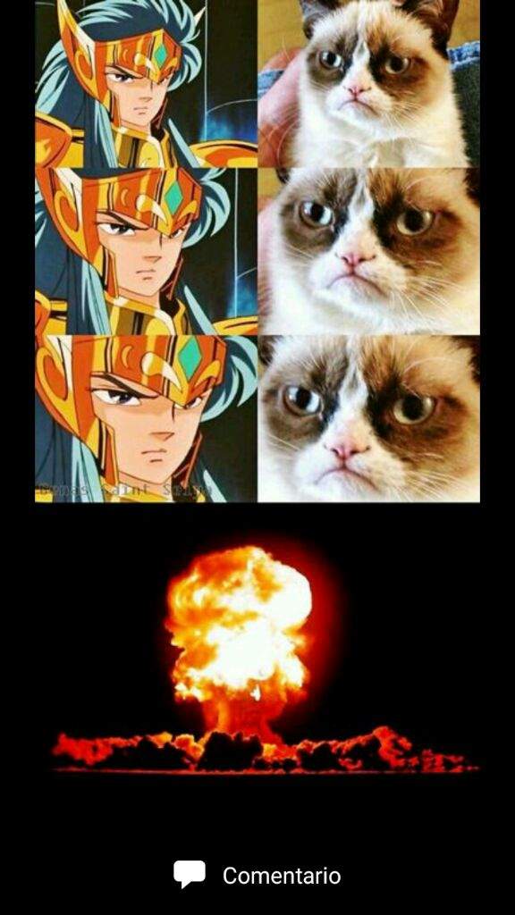 saint seiya 4