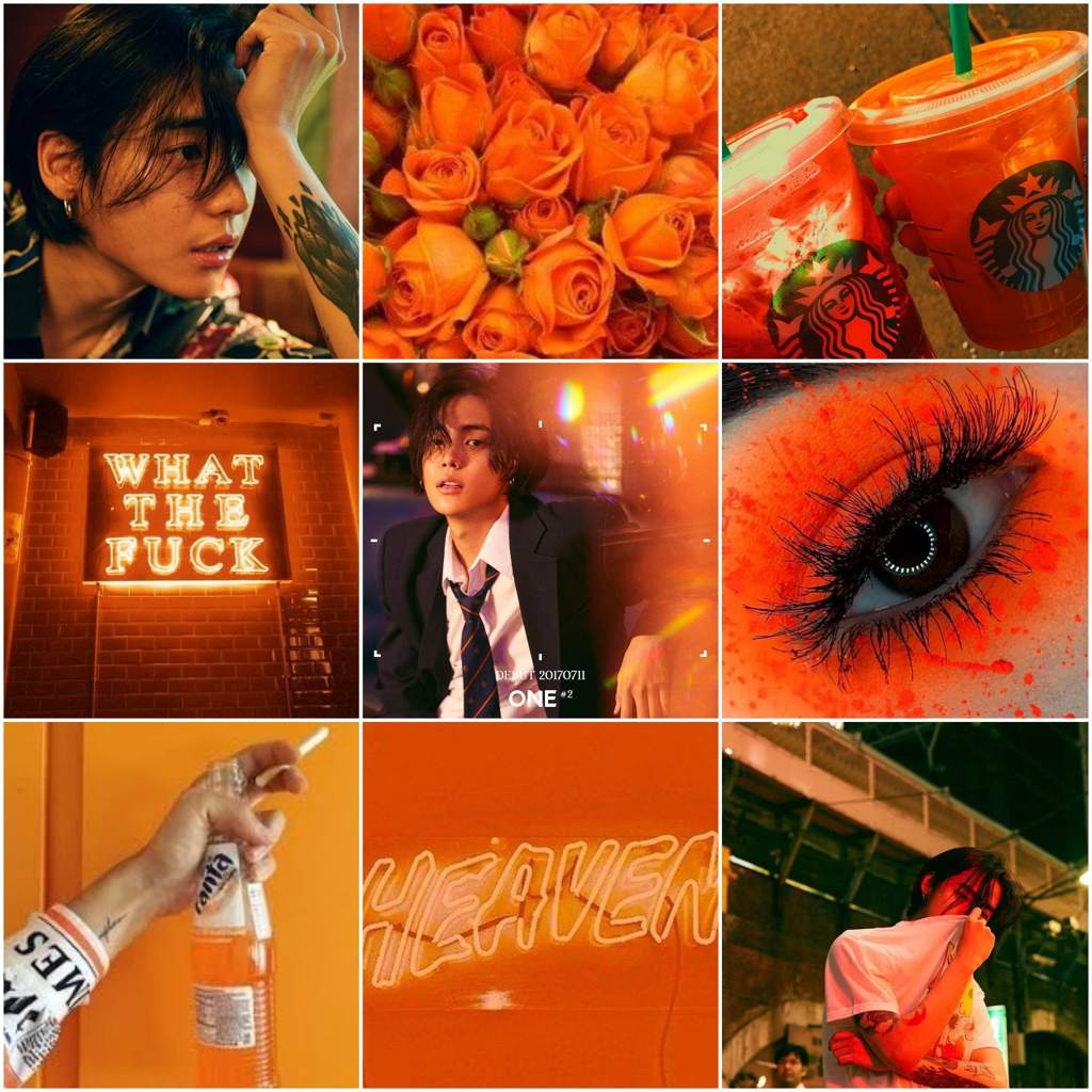 orange mood board